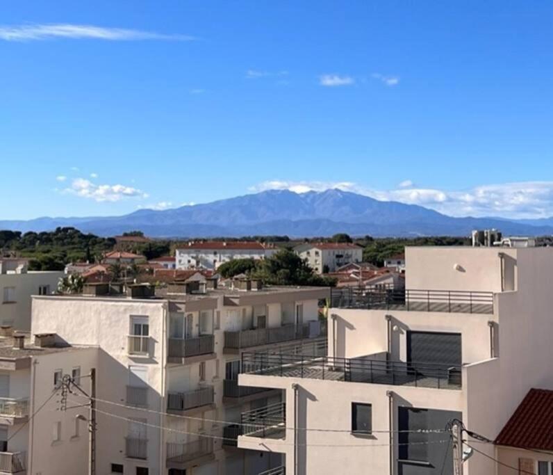 Studio Cote Plage Tout Equipe Vue Sur Le Canigou كانيه المظهر الخارجي الصورة
